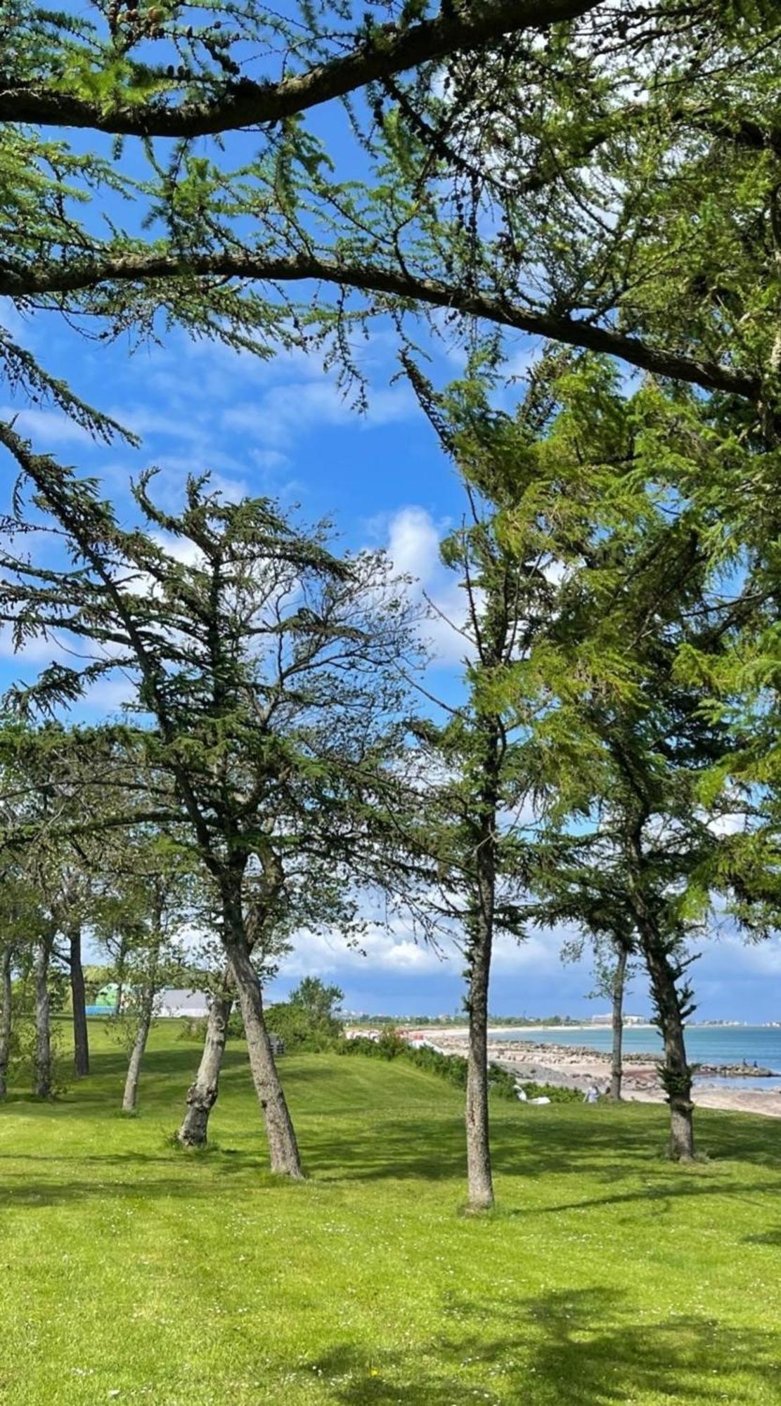 Ferien Am Strand, Urlaub An Der Ostsee Ferienwohnung Am Strand In Der Naehe Der Schlei, Umgebung Von Kappeln U Damp Brodersby-Goltoft Exterior photo